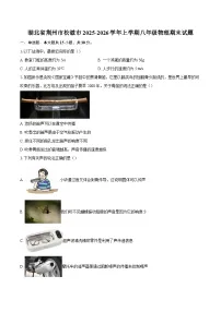 湖北省荆州市松滋市2025-2026学年上学期八年级物理期末试题-自定义类型