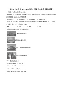 湖北咸宁咸安区2025-2026学年上学期八年级物理期末试题-自定义类型