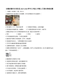安徽省滁州市凤阳县2025-2026学年九年级上学期2月期末物理试题-自定义类型