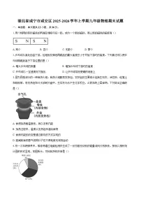 湖北省咸宁市咸安区2025-2026学年上学期九年级物理期末试题-自定义类型