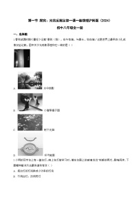 初中物理探究：光的反射定律课时练习
