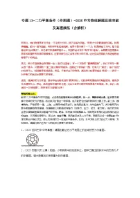 专题13-二力平衡条件（作图题）-2026中考物理解题思路突破及真题演练（含解析全国通用版）