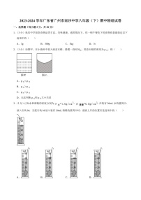 广东省广州市南沙中学2023-2024学年八年级下学期期中考试物理试卷（含答案）