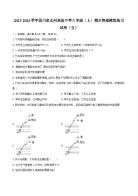 2025-2026学年四川省达州高级中学八年级（上）期末物理模拟练习试卷（五）-自定义类型