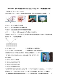 2025-2026学年河南省洛阳市洛宁县八年级（上）期末物理试卷-自定义类型