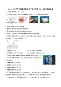 2025-2026学年河南省洛阳市洛宁县八年级（上）期末物理试卷-自定义类型