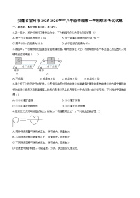 安徽省宿州市2025-2026学年八年级物理第一学期期末考试试题-自定义类型