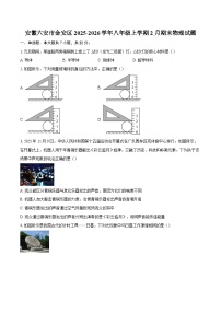 安徽六安市金安区2025-2026学年八年级上学期2月期末物理试题-自定义类型