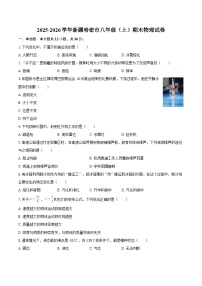 2025-2026学年新疆哈密市八年级（上）期末物理试卷-自定义类型