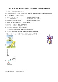 2025-2026学年黑龙江省绥化八中九年级（上）期末物理试卷-自定义类型
