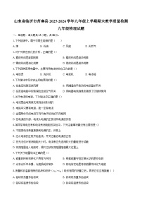 山东省临沂市莒南县2025-2026学年九年级上学期期末教学质量检测九年级物理试题-自定义类型