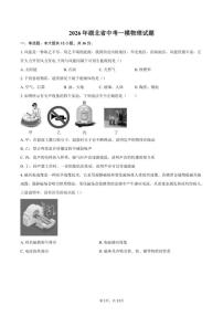 2026年湖北省中考一模物理试题（含答案）