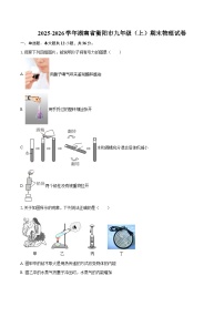 2025-2026学年湖南省衡阳市九年级（上）期末物理试卷-自定义类型