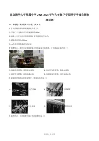 2025-2026学年北京清华大学附属中学九年级下学期开学学情自测物理试题（含答案）