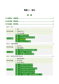 专题11 浮力（复习讲义）（全国通用）2026年中考物理一轮复习讲练测+答案