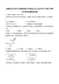 安徽省安庆市怀宁县腊树初级中学等校2025-2026学年九年级下学期开学学情自测物理试题-自定义类型