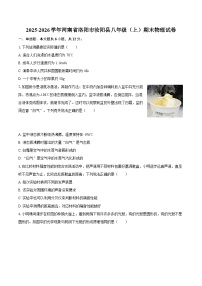 2025-2026学年河南省洛阳市汝阳县八年级（上）期末物理试卷-自定义类型