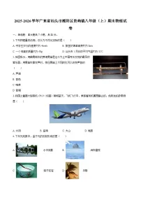 2025-2026学年广东省汕头市潮阳区贵屿镇八年级（上）期末物理试卷-自定义类型