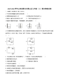 2025-2026学年山东省泰安市泰山区九年级（上）期末物理试卷-自定义类型