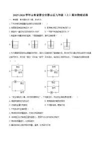 2025-2026学年山东省泰安市泰山区九年级（上）期末物理试卷-自定义类型