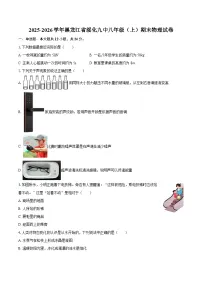 2025-2026学年黑龙江省绥化九中八年级（上）期末物理试卷-自定义类型
