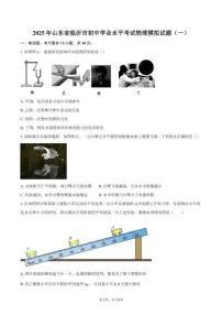 2025年山东省临沂市初中学业水平考试物理模拟试题（一）（含答案）