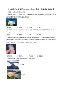 山东省临沂市河东区2025-2026学年九年级上学期期末物理试题-自定义类型