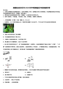 西藏自治区林芝市2026年中考物理最后冲刺浓缩精华卷（含答案解析）