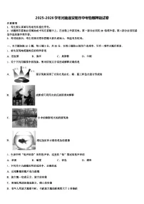 2025-2026学年河南省安阳市中考物理押题试卷（含答案解析）