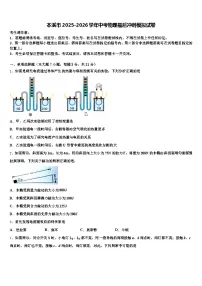 本溪市2025-2026学年中考物理最后冲刺模拟试卷（含答案解析）