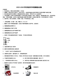2025-2026学年芜湖市中考物理模拟试题（含答案解析）