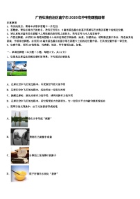 广西壮族自治区南宁市2026年中考物理猜题卷（含答案解析）