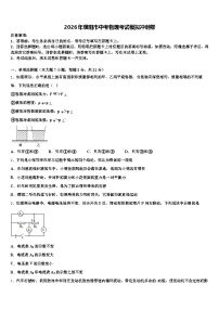 2026年濮阳市中考物理考试模拟冲刺卷（含答案解析）