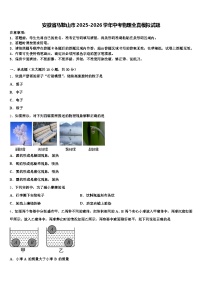 安徽省马鞍山市2025-2026学年中考物理全真模拟试题（含答案解析）