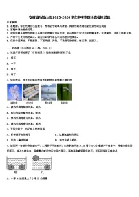 安徽省马鞍山市2025-2026学年中考物理全真模拟试题（含答案解析）