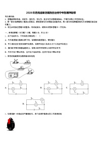 2026年青海省果洛藏族自治州中考物理押题卷（含答案解析）