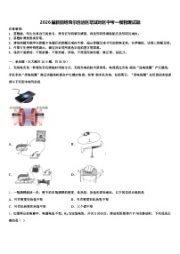 2026届新疆维吾尔自治区塔城地区中考一模物理试题（含答案解析）
