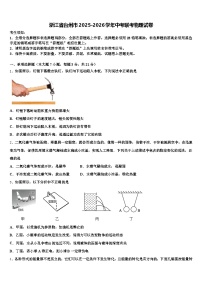浙江省台州市2025-2026学年中考联考物理试卷（含答案解析）