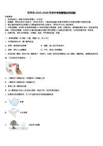 毕节市2025-2026学年中考物理模拟预测题（含答案解析）