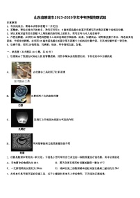 山东省聊城市2025-2026学年中考四模物理试题（含答案解析）