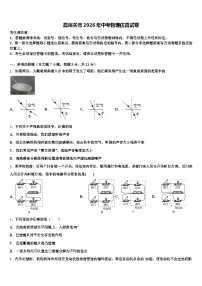嘉峪关市2026年中考物理仿真试卷（含答案解析）