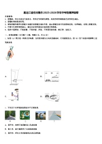 黑龙江省佳木斯市2025-2026学年中考物理押题卷（含答案解析）