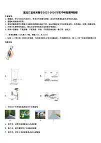 黑龙江省佳木斯市2025-2026学年中考物理押题卷（含答案解析）