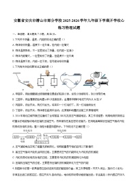 安徽省安庆市潜山市部分学校2025-2026学年九年级下学期开学收心练习物理试题-自定义类型