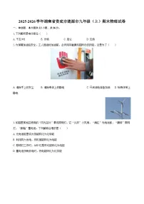2025-2026学年湖南省娄底市涟源市九年级（上）期末物理试卷-自定义类型