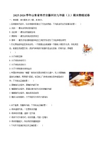 2025-2026学年山东省枣庄市滕州市九年级（上）期末物理试卷-自定义类型
