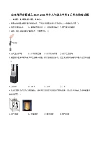 山东菏泽市郓城县2025-2026学年九年级上学期1月期末物理试题-自定义类型
