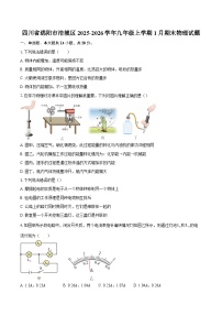 四川省绵阳市涪城区2025-2026学年九年级上学期1月期末物理试题-自定义类型