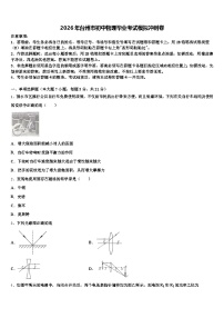 2026年台州市初中物理毕业考试模拟冲刺卷（含答案解析）