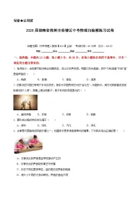 2026年湖南省株洲市荷塘区中考模拟物理练习卷含答案